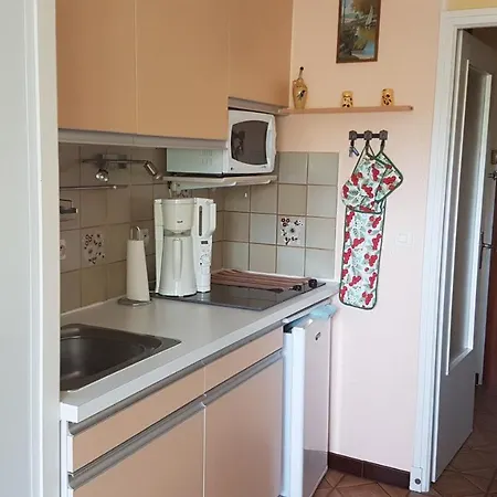 Joli De 26 M² Avec Veranda De 6 M² Calme Et Vue Sur Montagne Amélie-les-Bains-Palalda