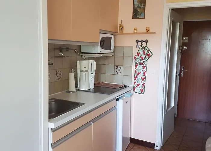 Joli De 26 M² Avec Veranda De 6 M² Calme Et Vue Sur Montagne Amélie-les-Bains-Palalda